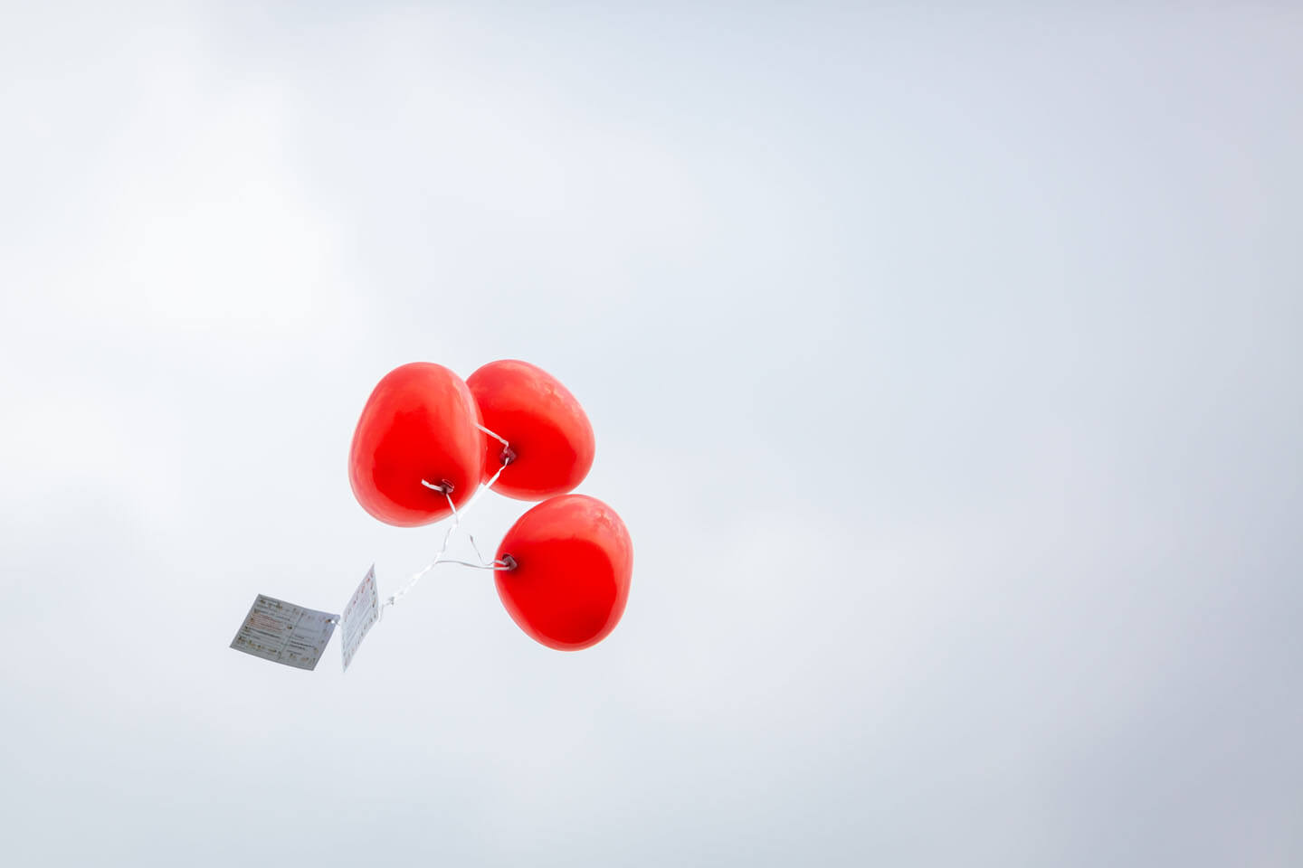 Herzballons steigen mit Wünschekarte in den Himmel