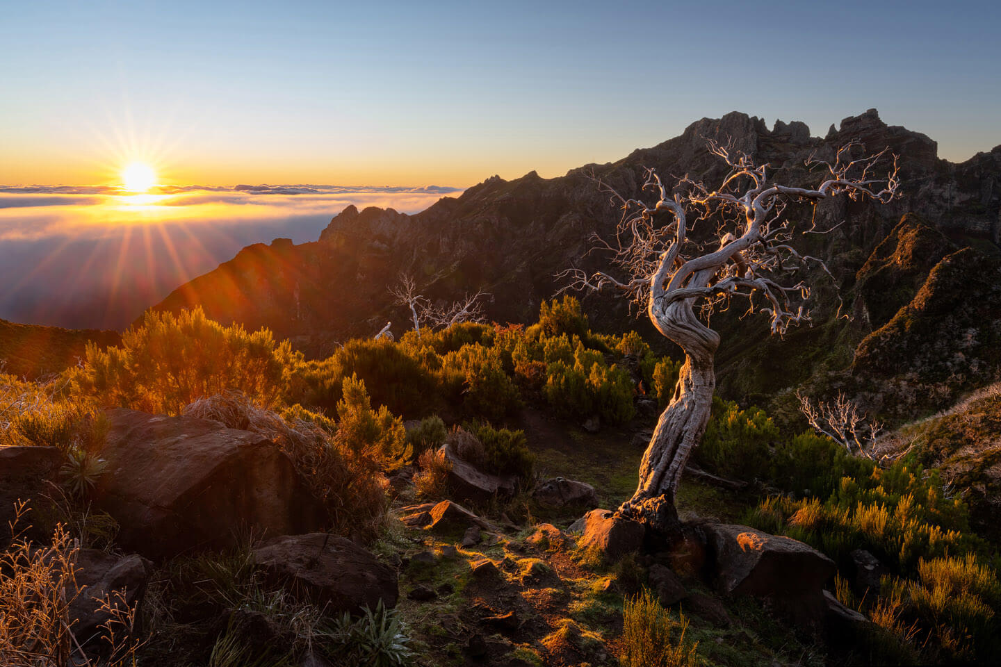 Gehört bei einer Madeira Fotoreise unbedingt dazu: Der Weg zum Gipfel des Pico Ruivo.