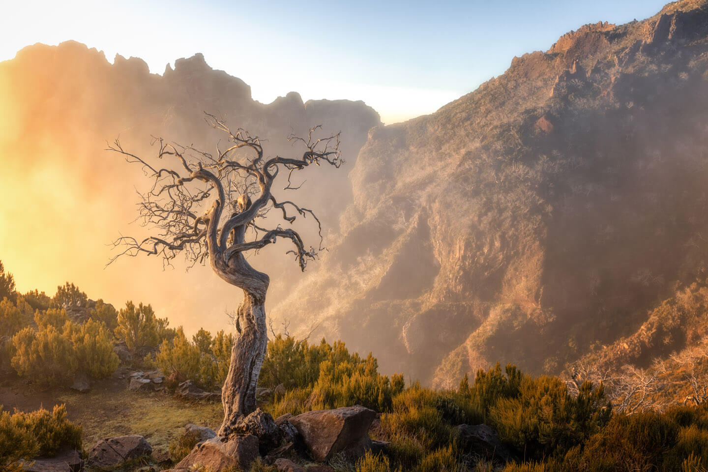 Madeira Fotoreise - die toten Bäume am Pico Ruivo.
