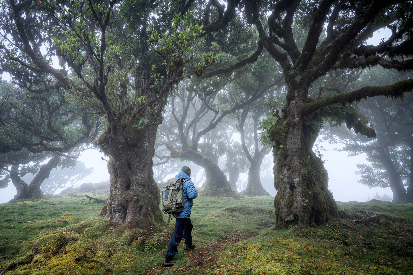 Fotograf Florian Läufer auf dem Weg in den Lorbeerwald in Fanal auf Madeira.