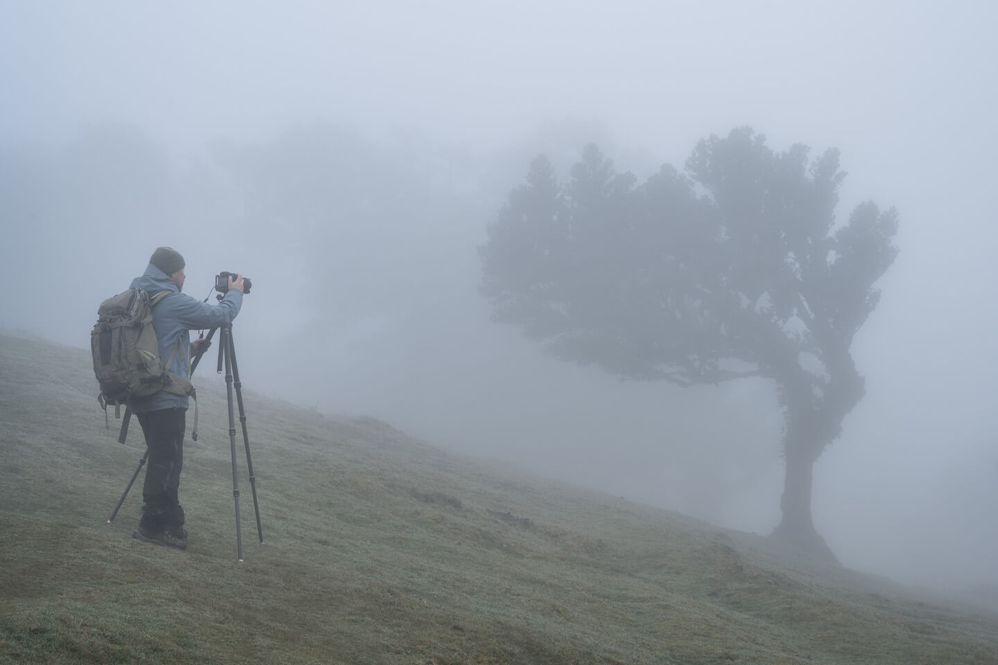 Fotograf Florian Läufer bei einer Fotoreise in den Lorbeerwald auf Madeira.