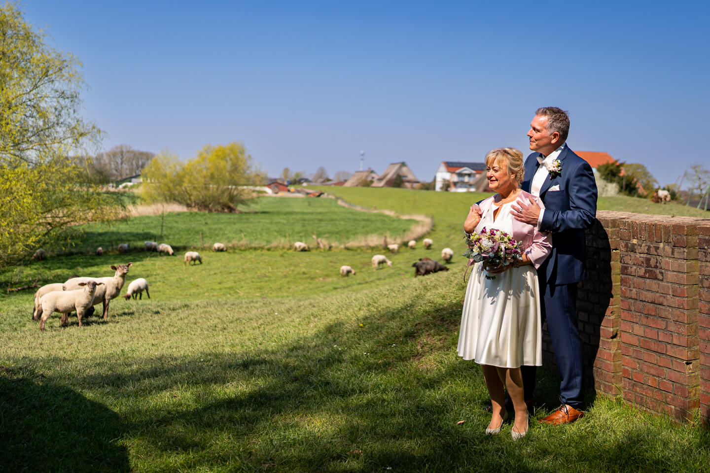 Hochzeitsfotos am Deich mit Schafen.